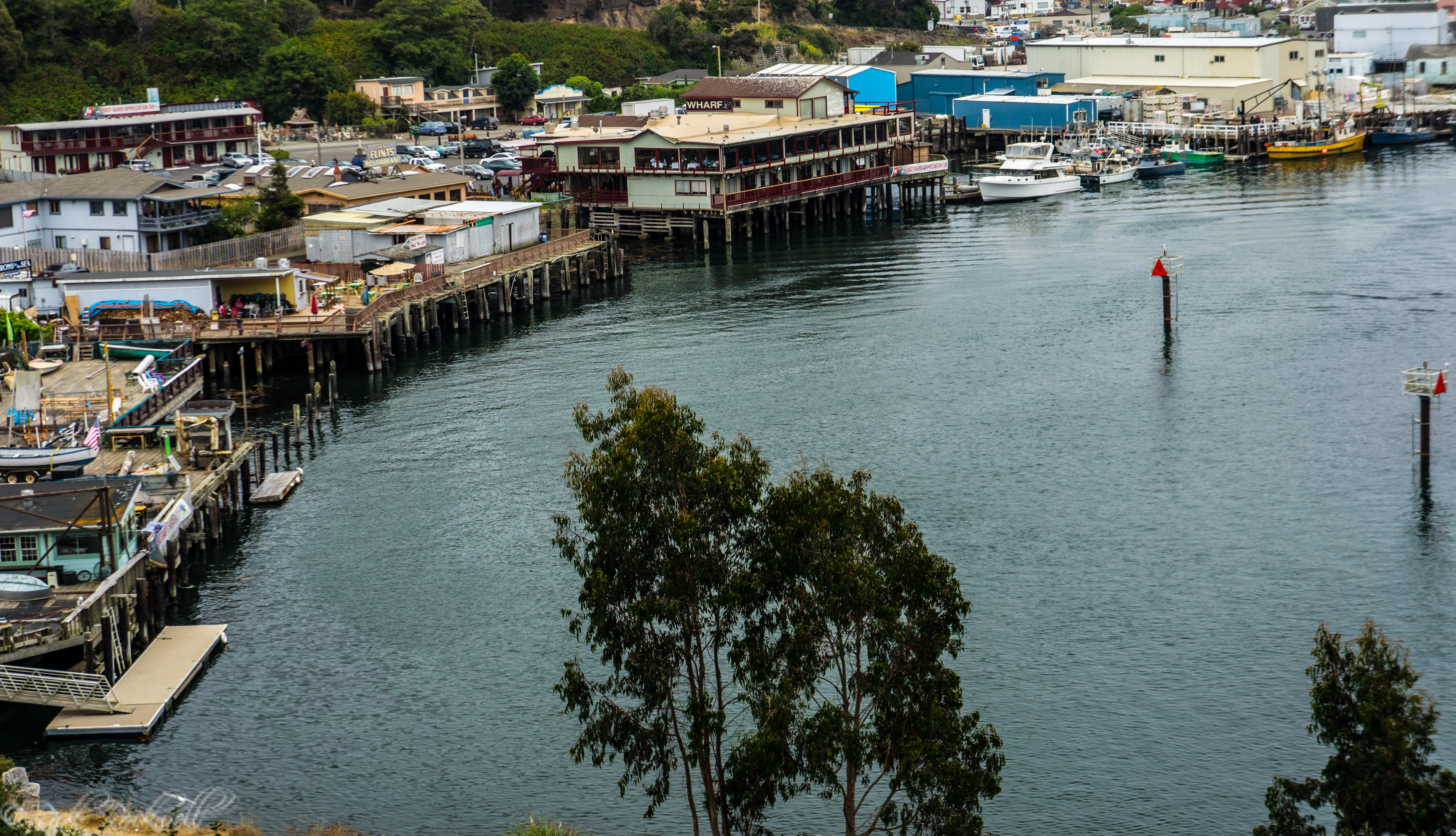 Photo of A quick look at Noyo Harbor