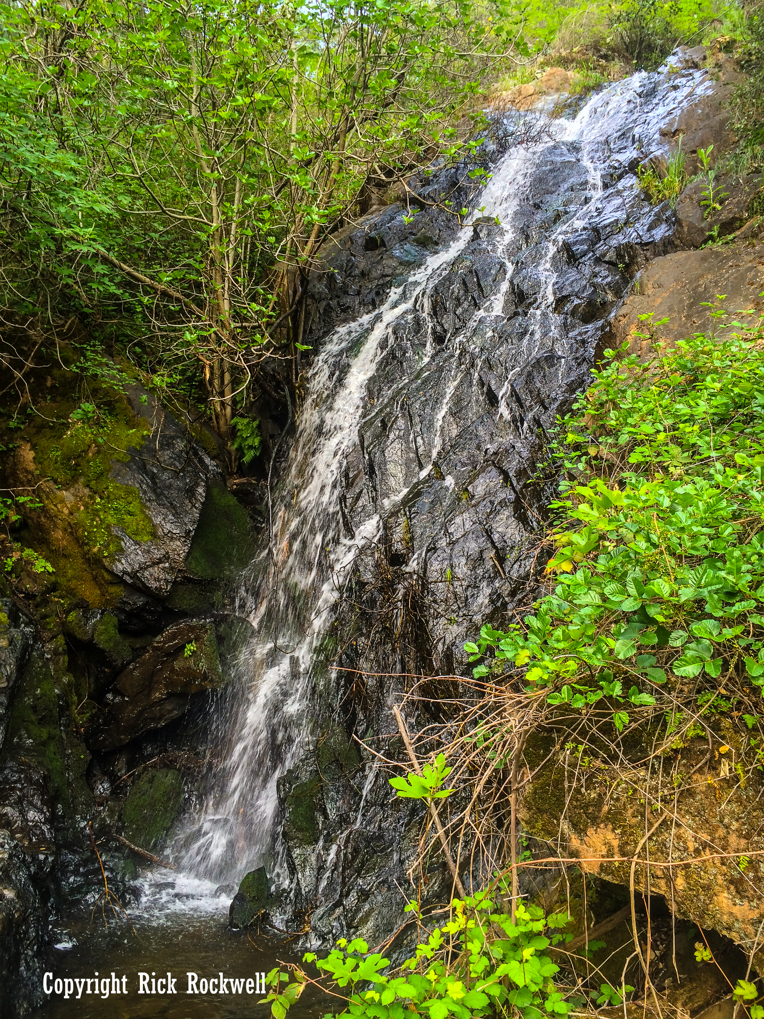 Photo of Auburn waterfalls: exploring the Black Hole of Calcutta Falls and Hidden Falls park