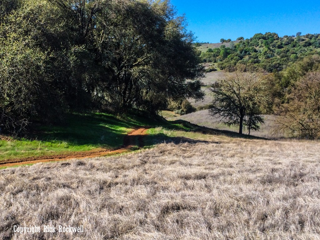 Cronan Ranch Regional Trails Park: all quiet on the set of Coloma-Lotus
