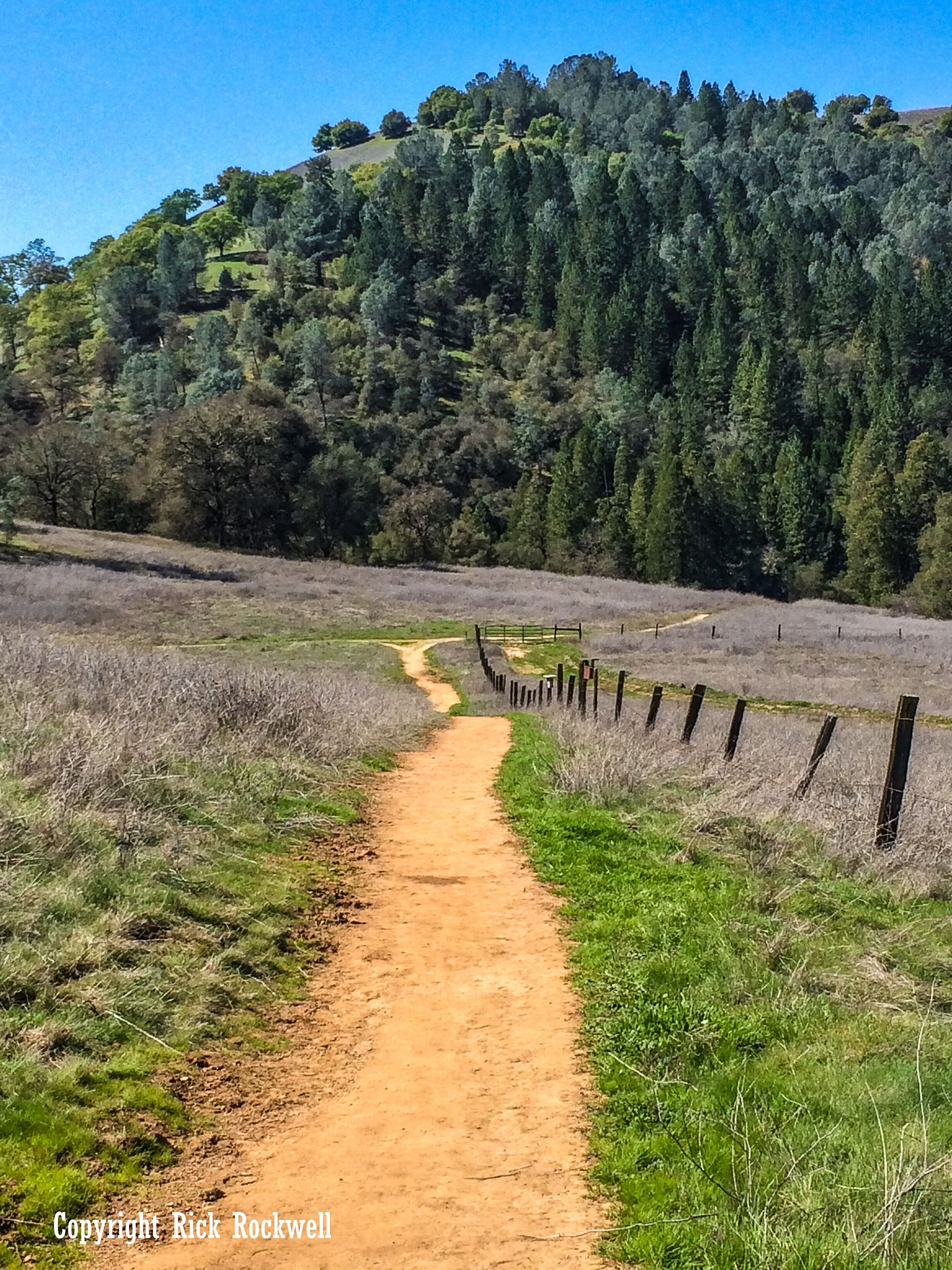 Photo of Magnolia Ranch: a peaceful stroll through the Coloma-Lotus region