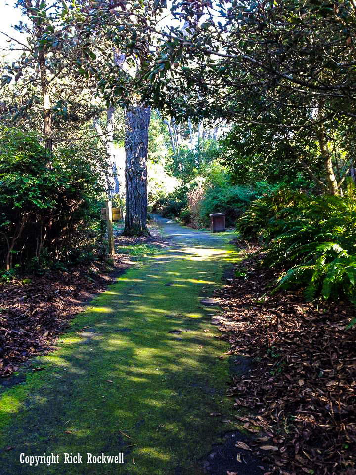 Photo of Mendocino Coast Botanical Gardens: much more than just flowers