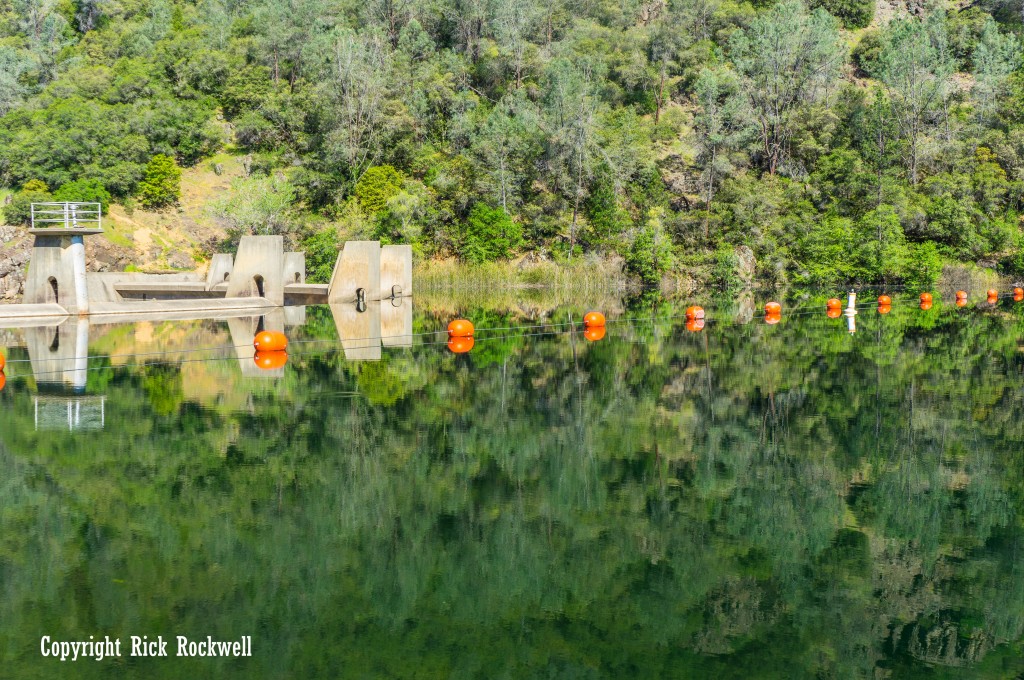 Beautiful reflection off Lake Clementine