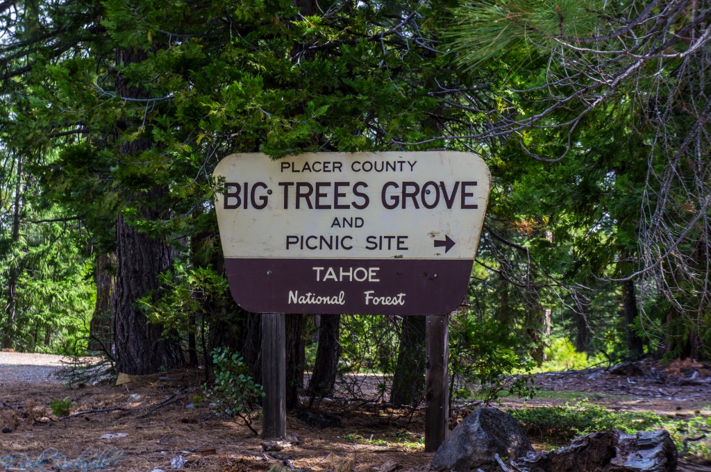 big tree grove sign 1 (1 of 1)