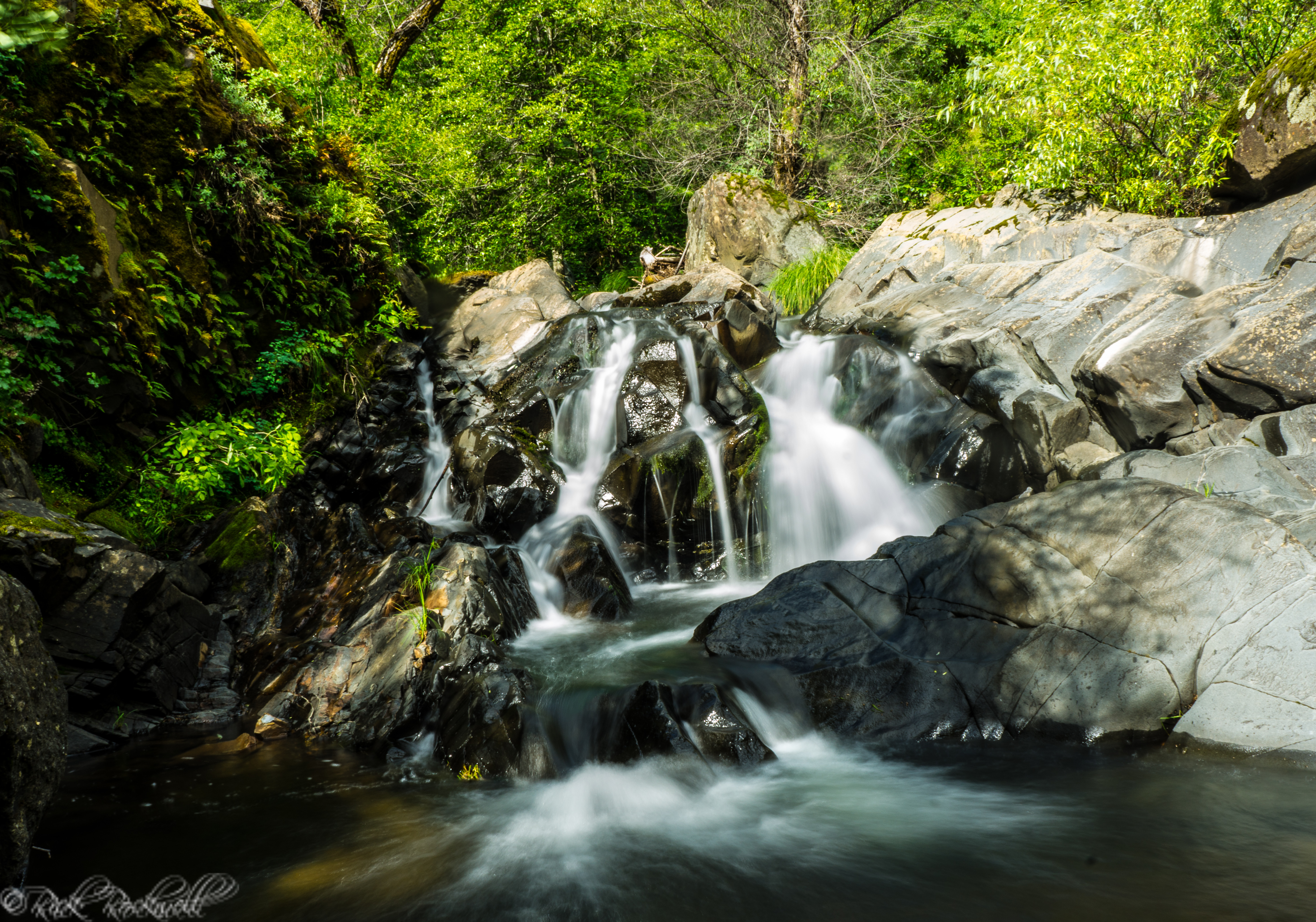 Photo of Bunch Canyon Falls: a historical hiking adventure