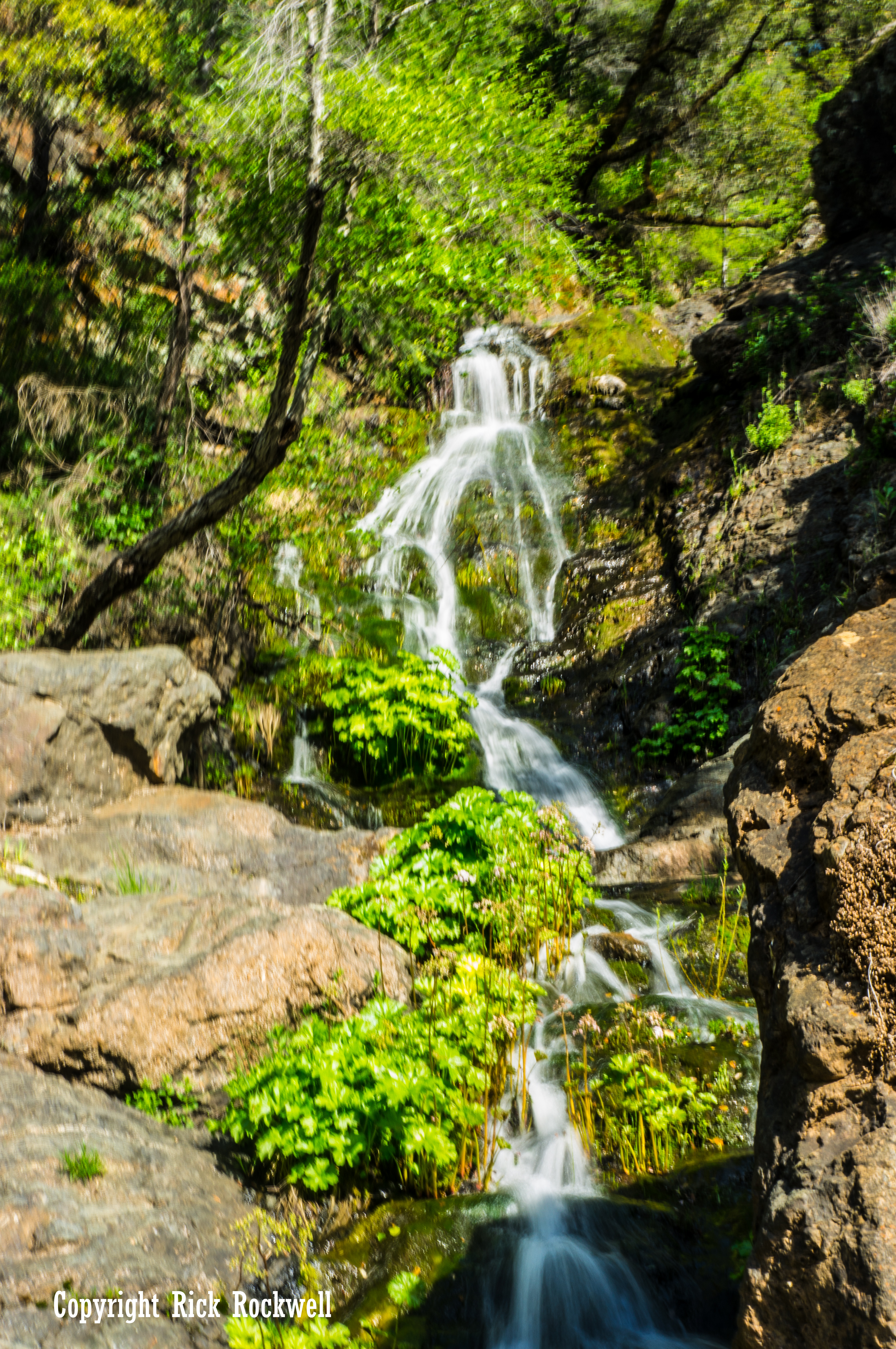 Photo of Codfish Falls Trail: The biggest adventure is driving there