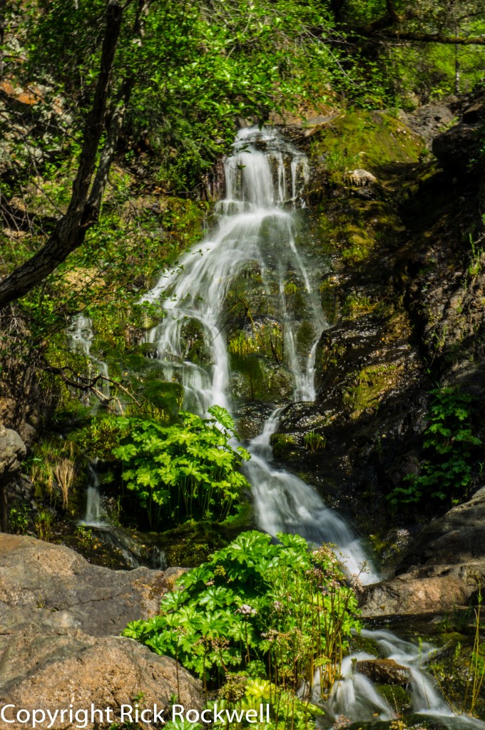 codfish falls 3 (1 of 1)