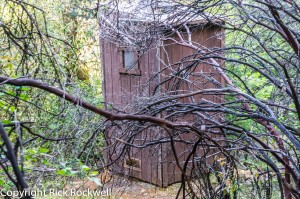 codfish falls trail outhouse (1 of 1)