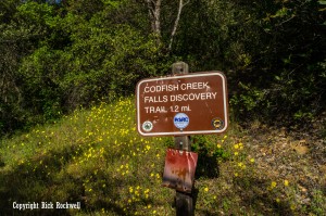 codfish falls trail sign (1 of 1)