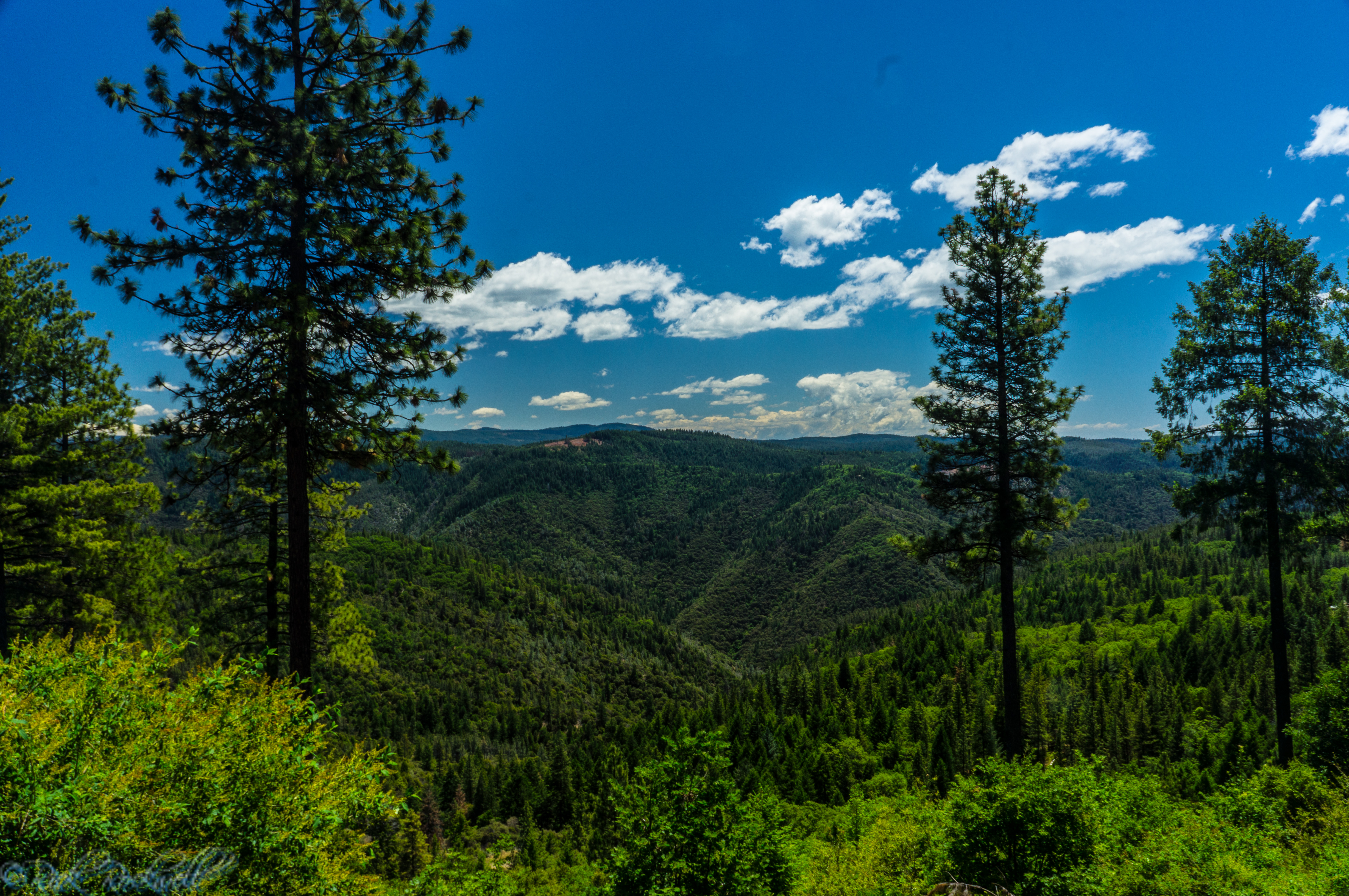 Photo of Foresthill Divide: Where history, legendary tales and adventures await