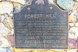 foresthill histoircal marker (1 of 1)