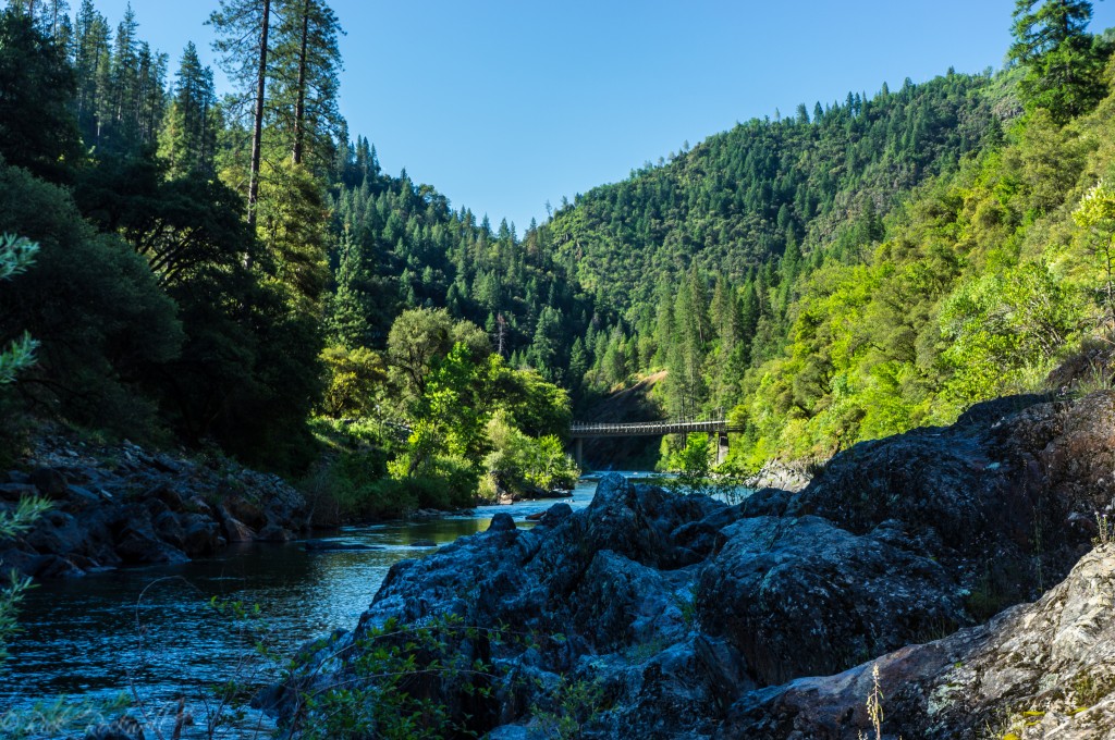 A look South down the river at the bridges