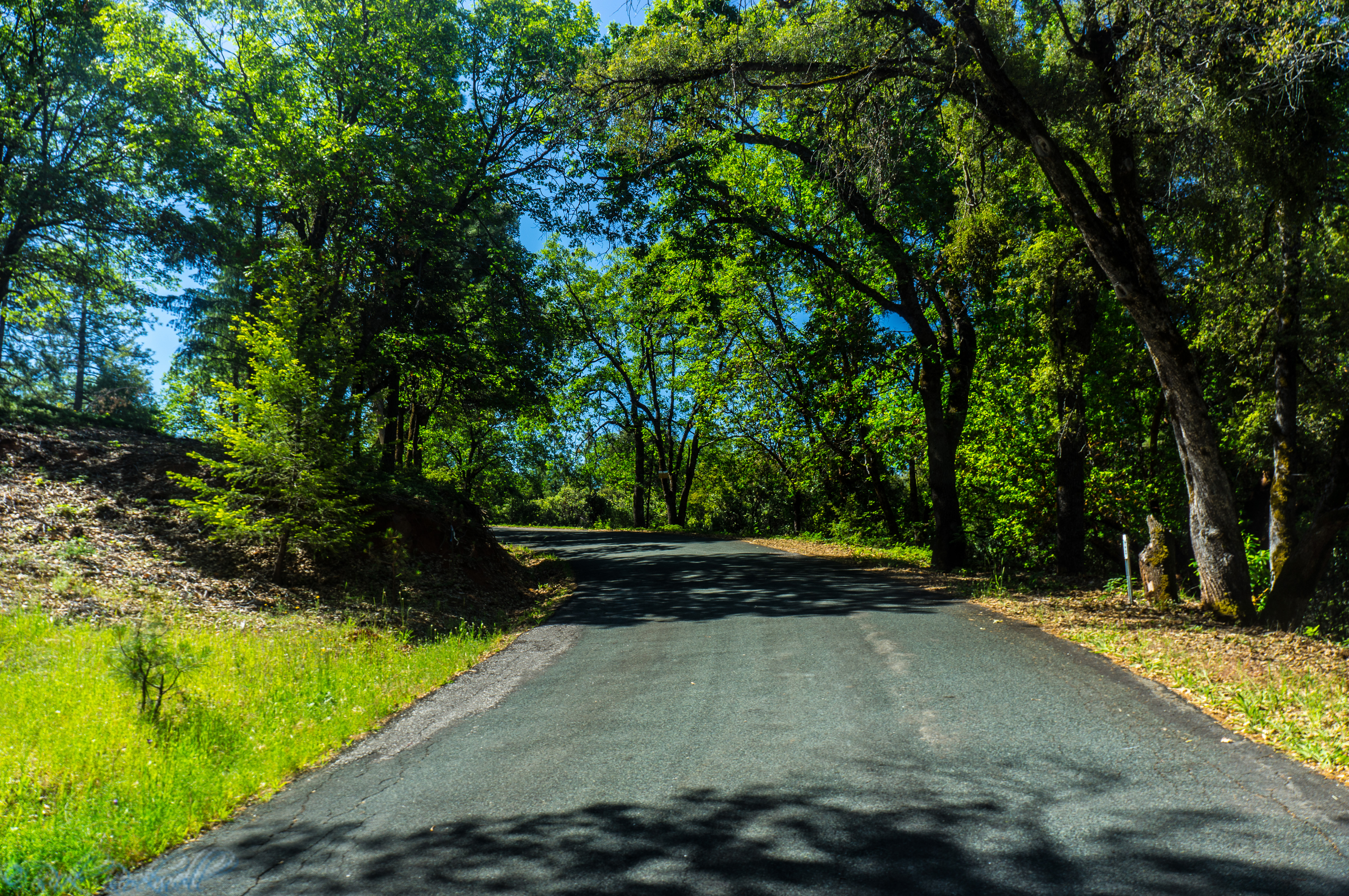 Photo of Iowa Hill Road: A thrilling voyage from Colfax to Iowa Hill