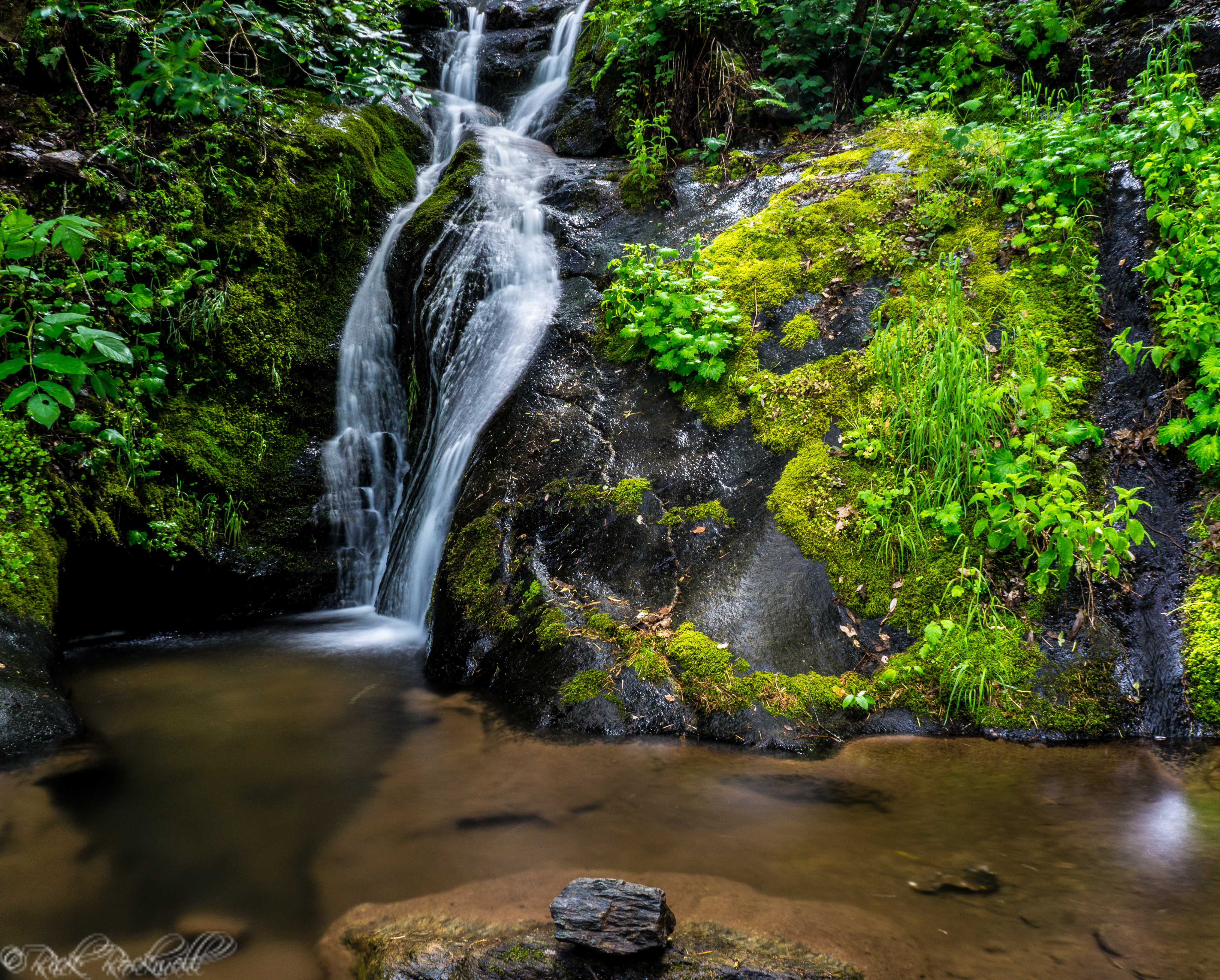 Photo of Mexican Gulch Waterfall: a tropical paradise in Placer County