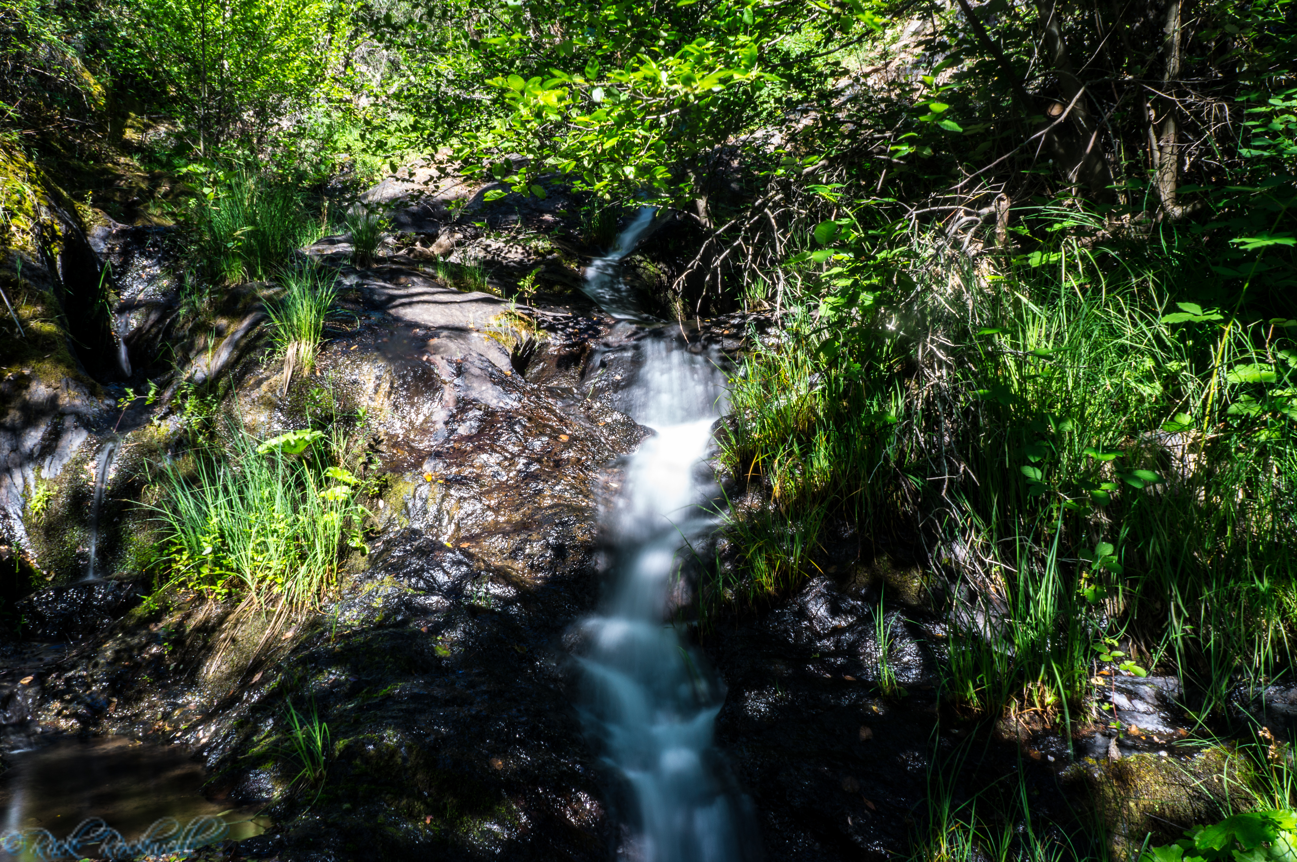 Photo of Pennyweight Falls: My two cents on this Placer County waterfall