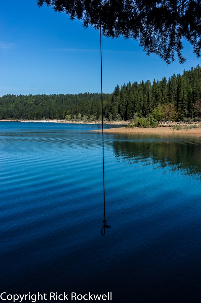 sly park rope swing (1 of 1)