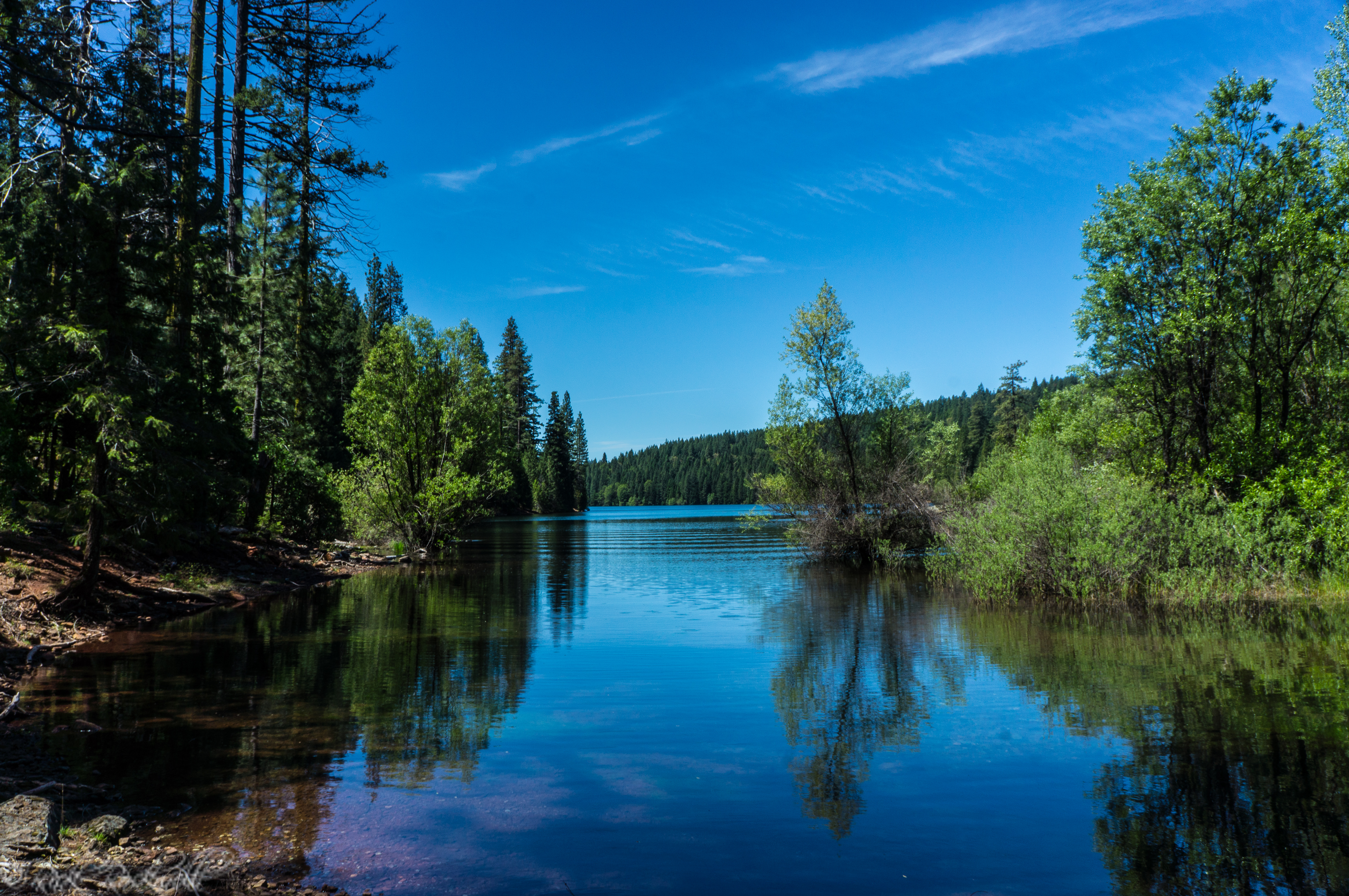 Photo of Sugar Pine Reservoir: A sweet spot for hiking and camping in the Tahoe National Forest