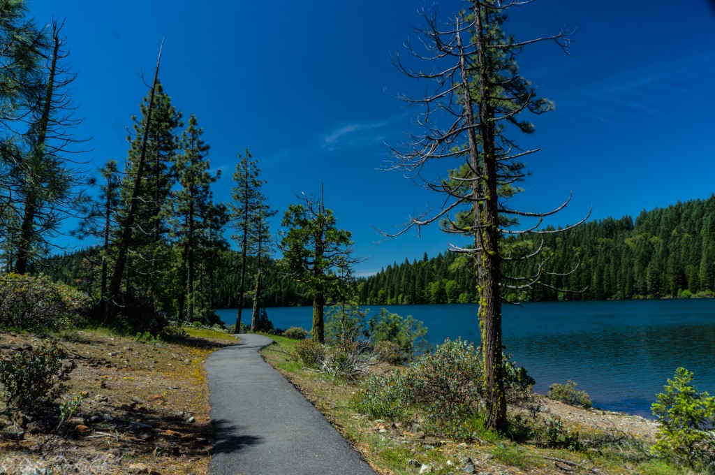 Out on the trail