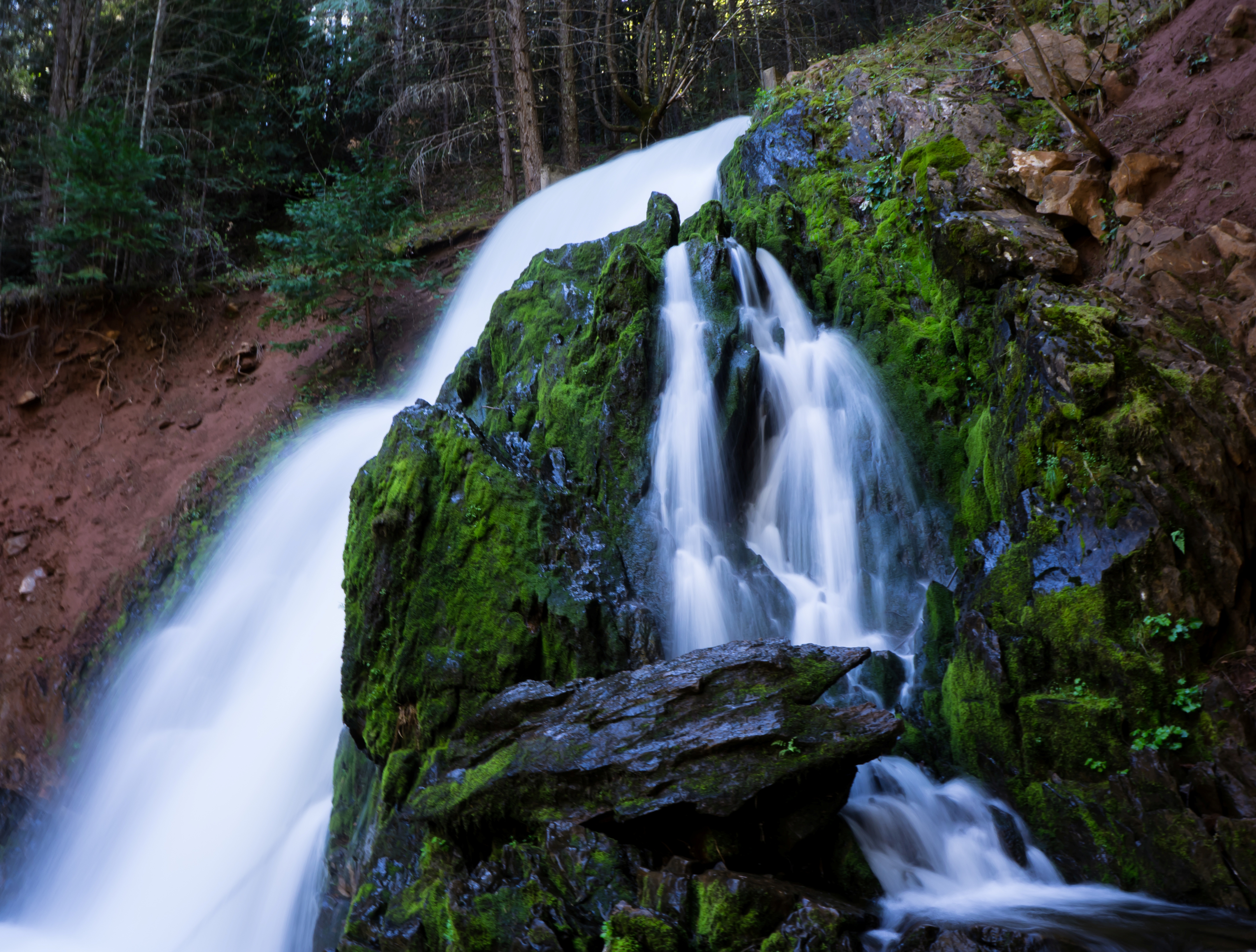 Photo of Park Creek Waterfall: a beautiful man made waterfall in Sly Park