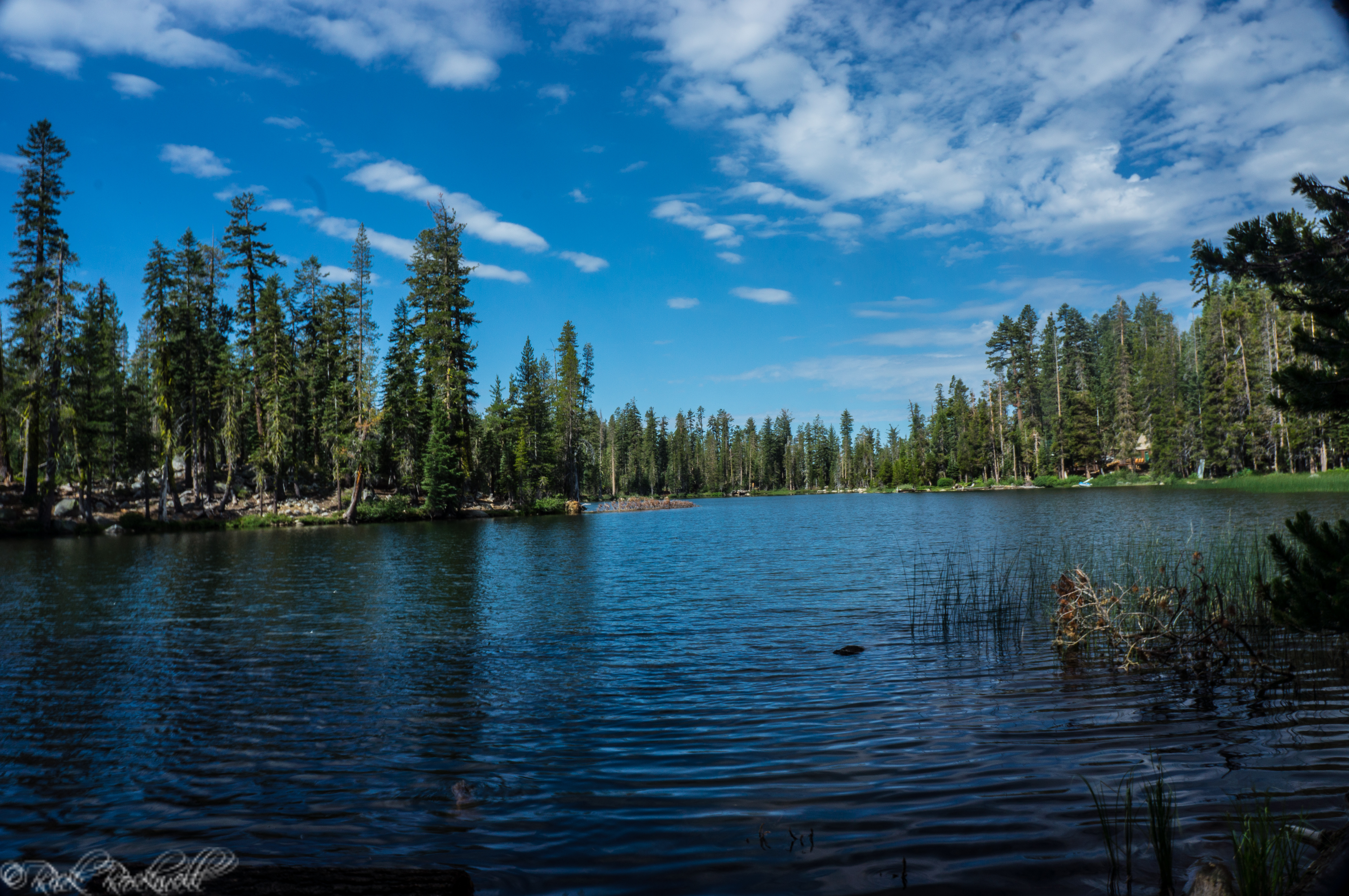 Photo of A quick look at Dark Lake