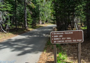 dark lake sign (1 of 1)