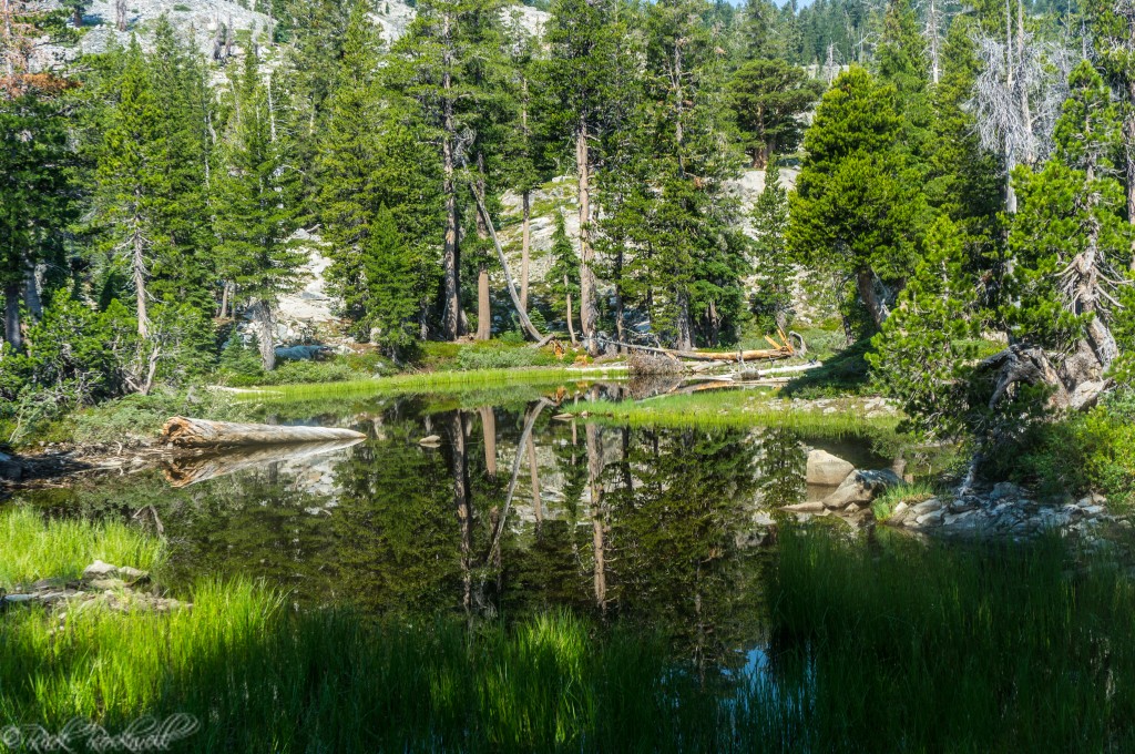 tamarack lake 3 (1 of 1)