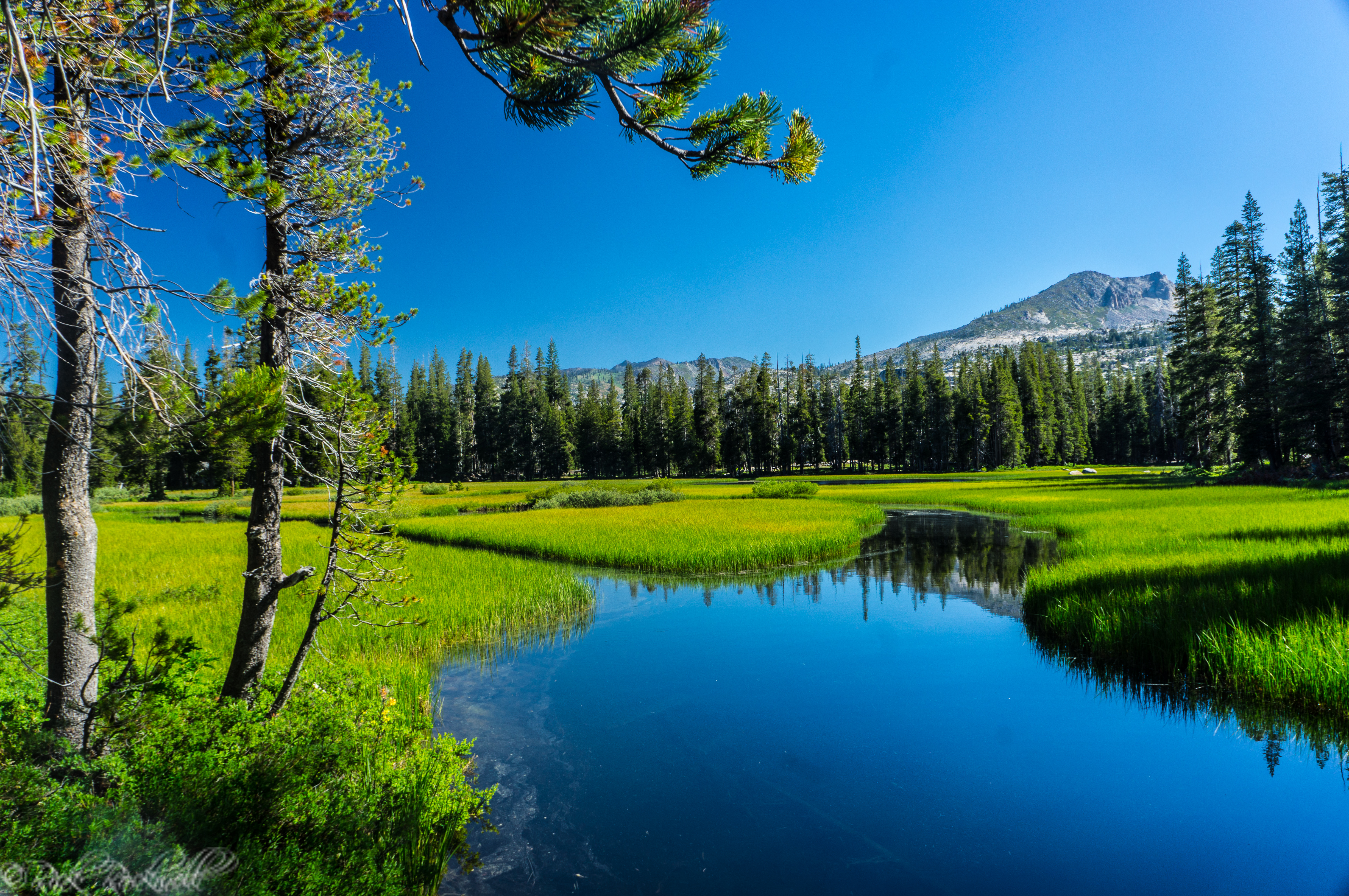 Photo of Twin Lakes Trail:  A moderately strenuous trail with plenty of lakes to explore