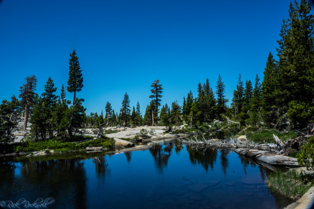 Watering Hole near the trail