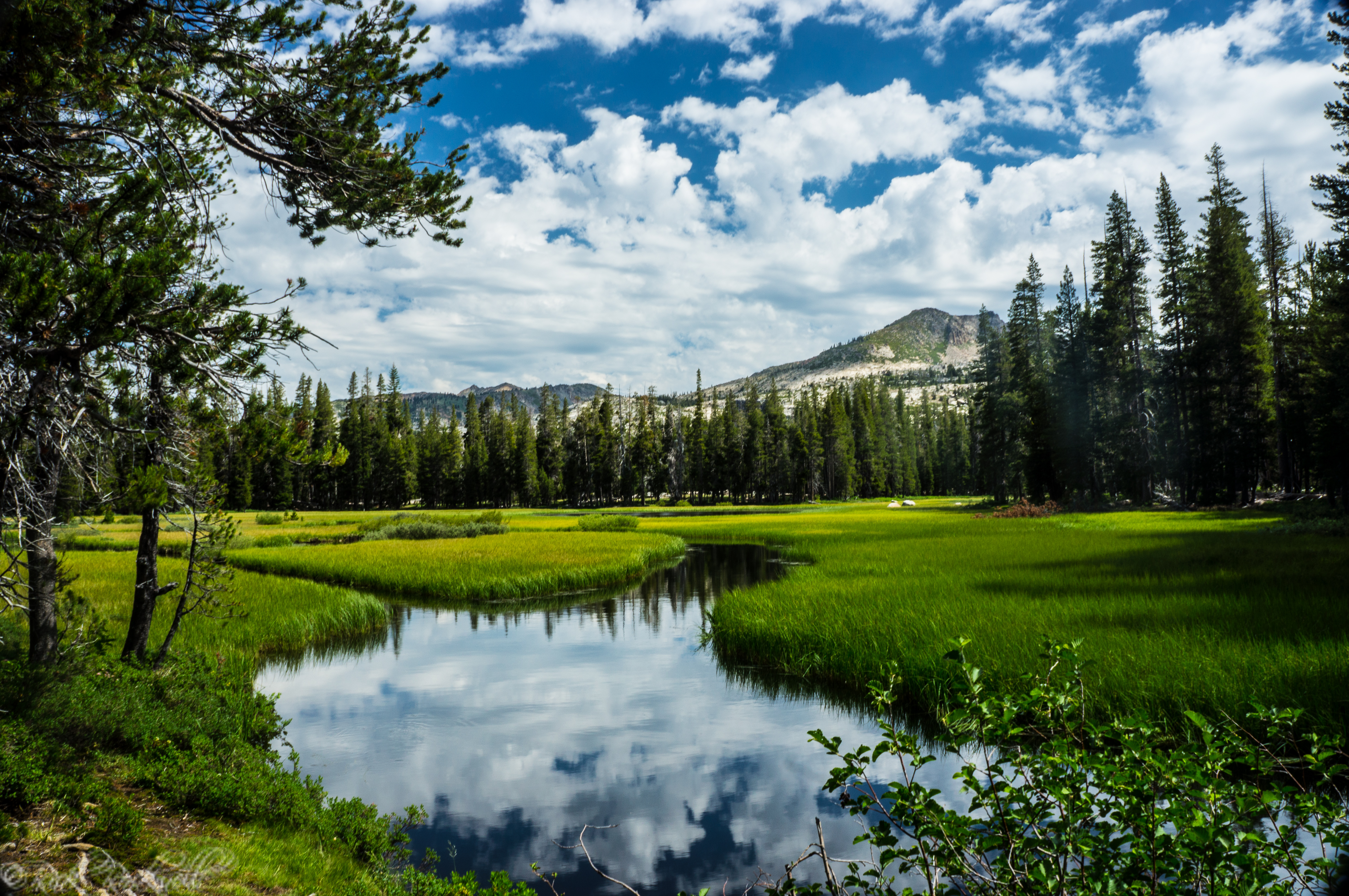 Photo of California sees record breaking year in tourism