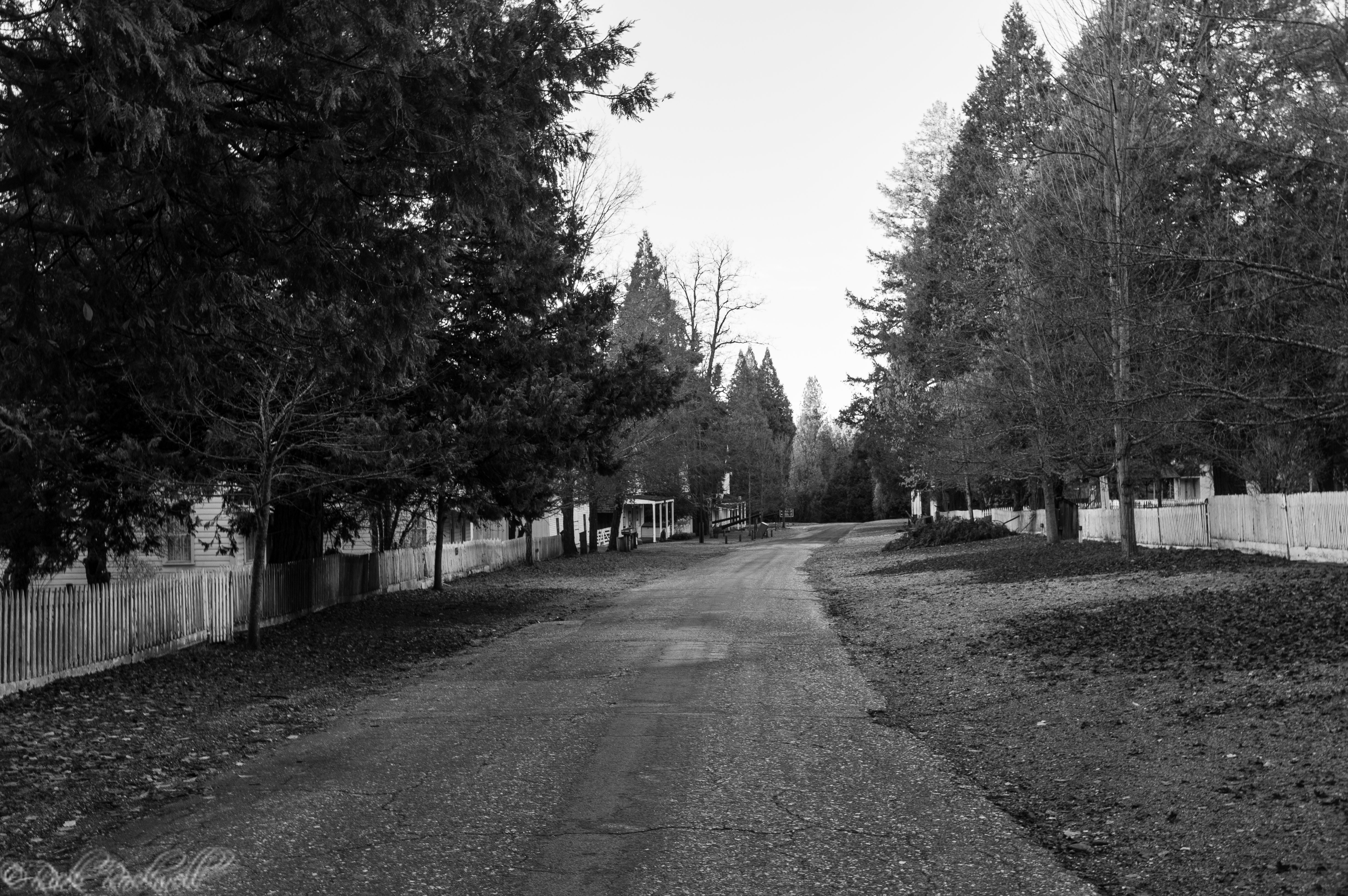 Photo of North Bloomfield: a charmingly preserved ghost town