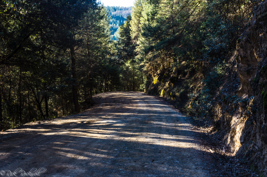 North Bloomfield Rd. heading out of state park