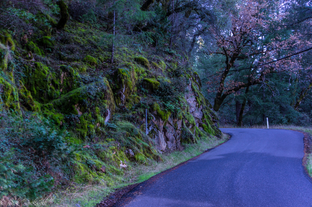 Paved section of North Bloomfield Rd. 