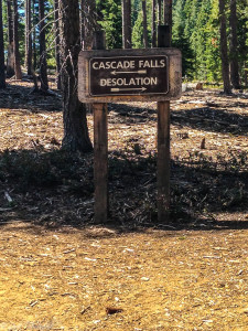 bayview trail 1 (1 of 1)