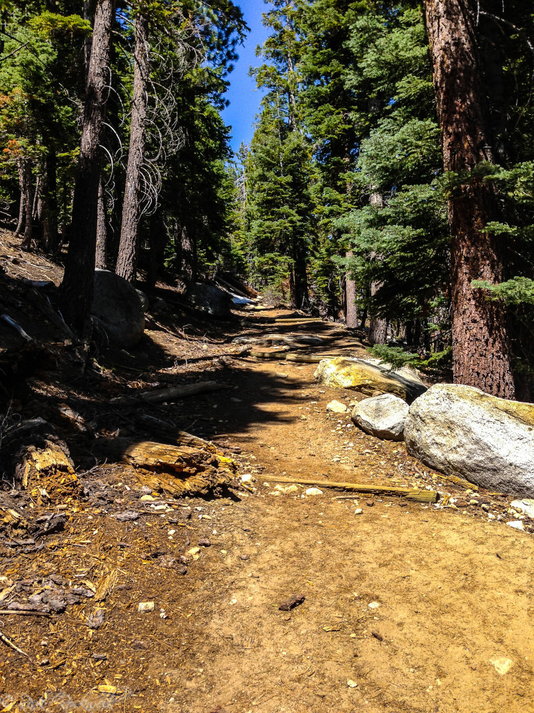 bayview trail 2 (1 of 1)