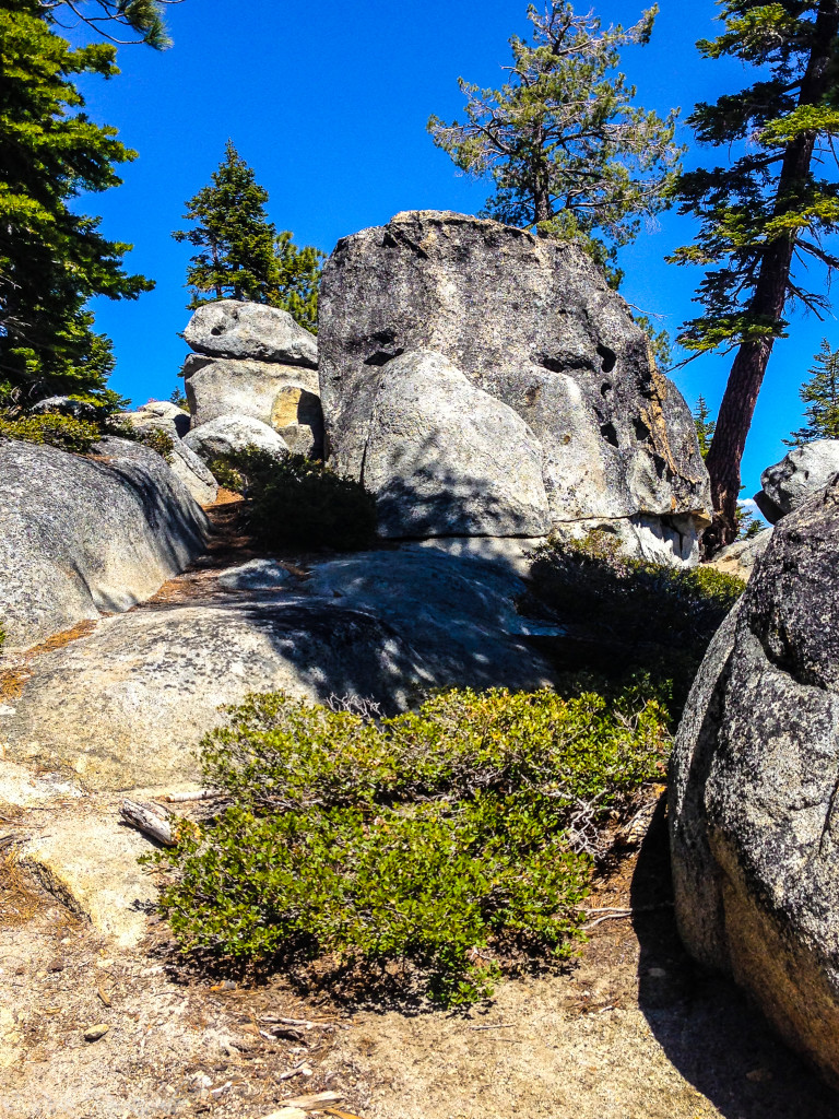 bayview trail 3 (1 of 1)