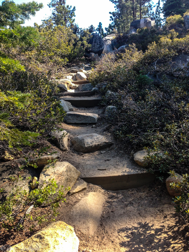 cascade trail 2 (1 of 1)