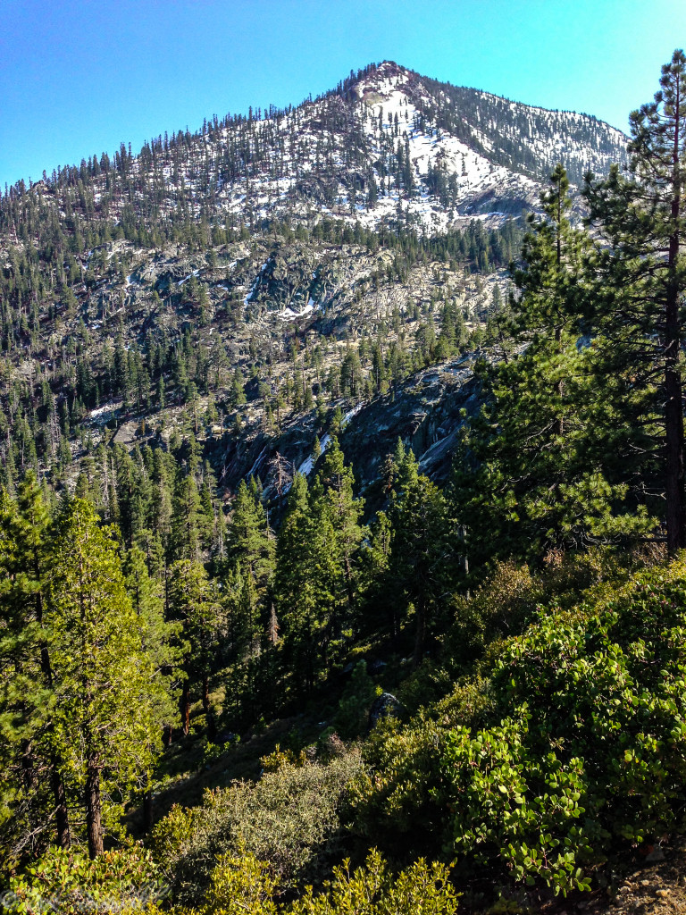 cascade trail 4 (1 of 1)