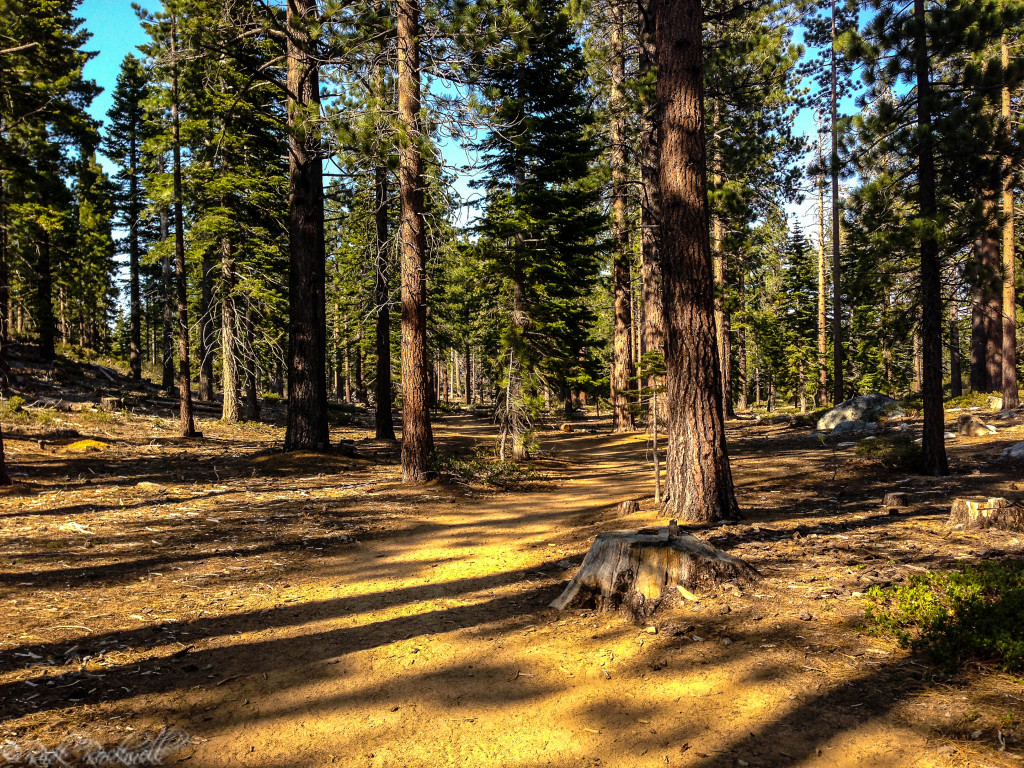 cascade trail 5 (1 of 1)