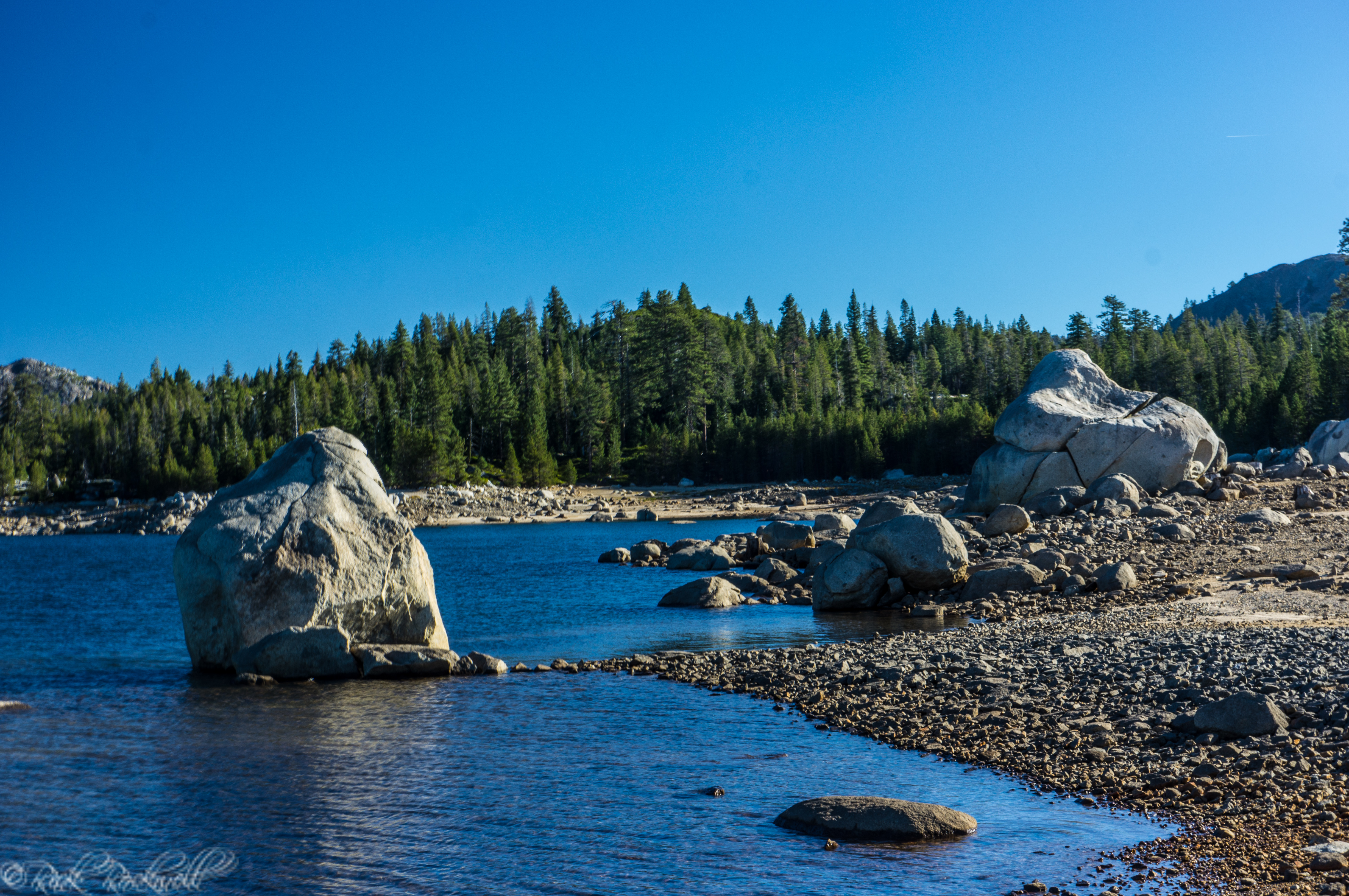 Looking at Loon Lake shoreline