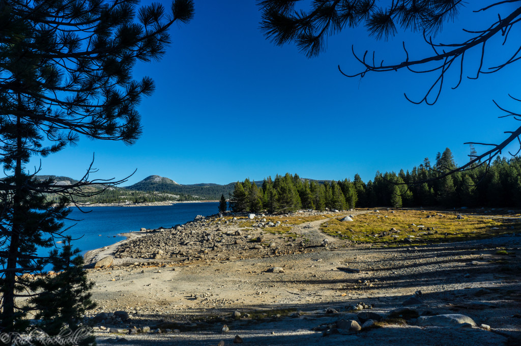 Loon Lake and Trail