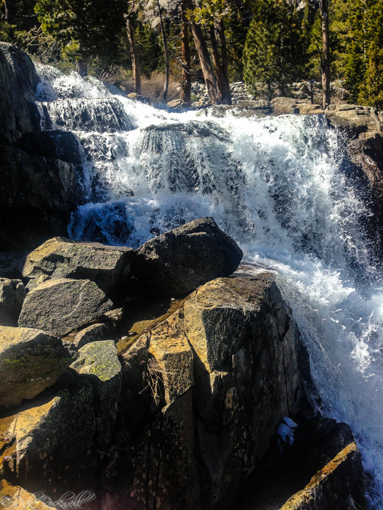 Lower Eagle Falls in the Spring