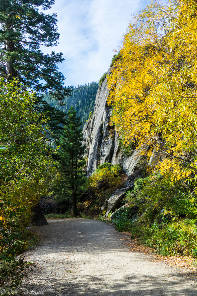 vikingsholm trail 2 (1 of 1)