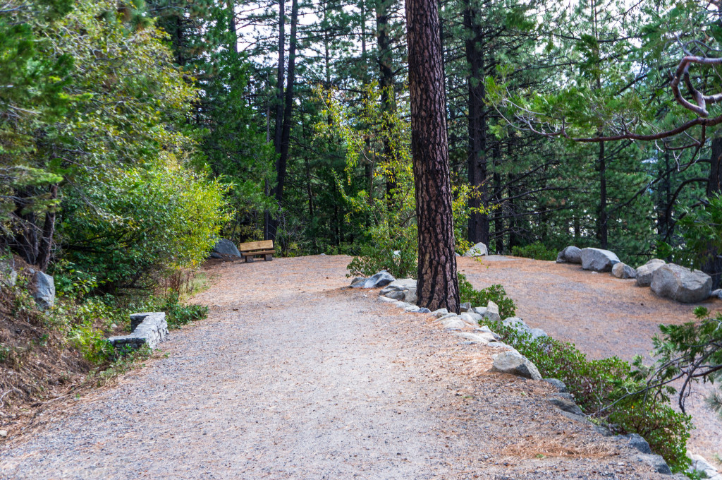 vikingsholm trailbench (1 of 1)