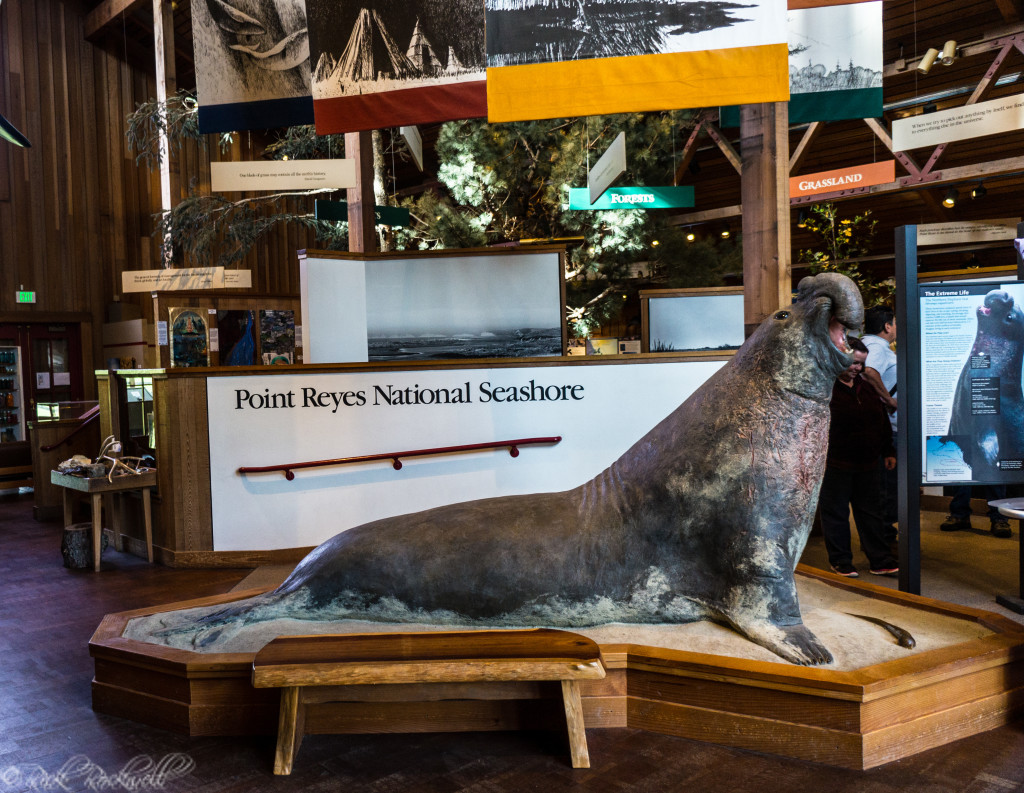 bvvc inside (1 of 1)