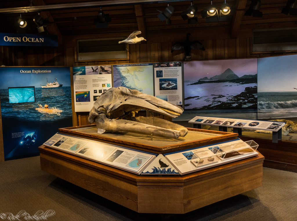 bvvc inside 2 (1 of 1)