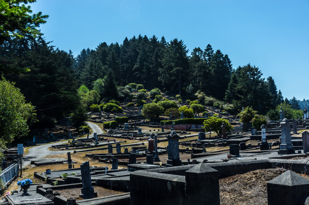 Ferndale Cemetery 
