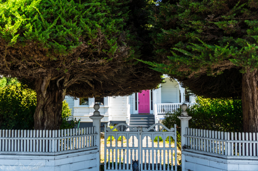 The Gum Drop Tree House