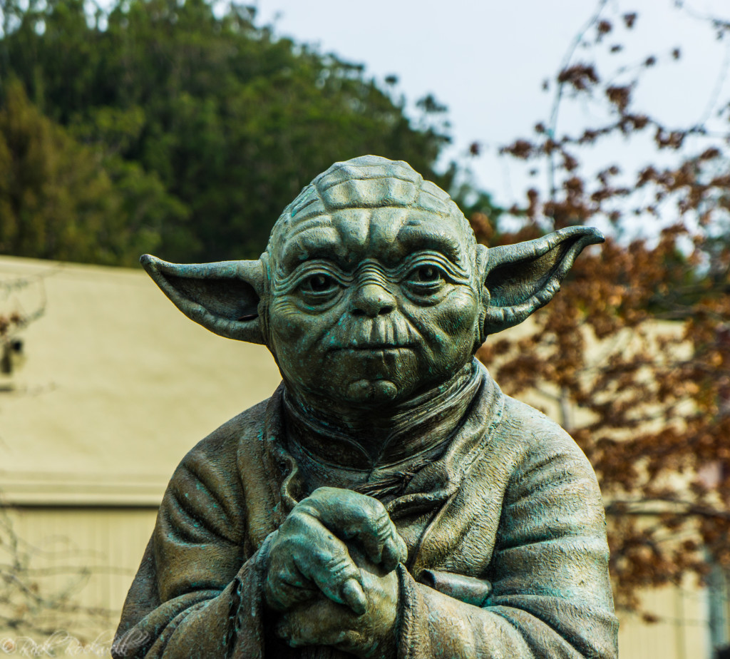 imagination park yoda (1 of 1)