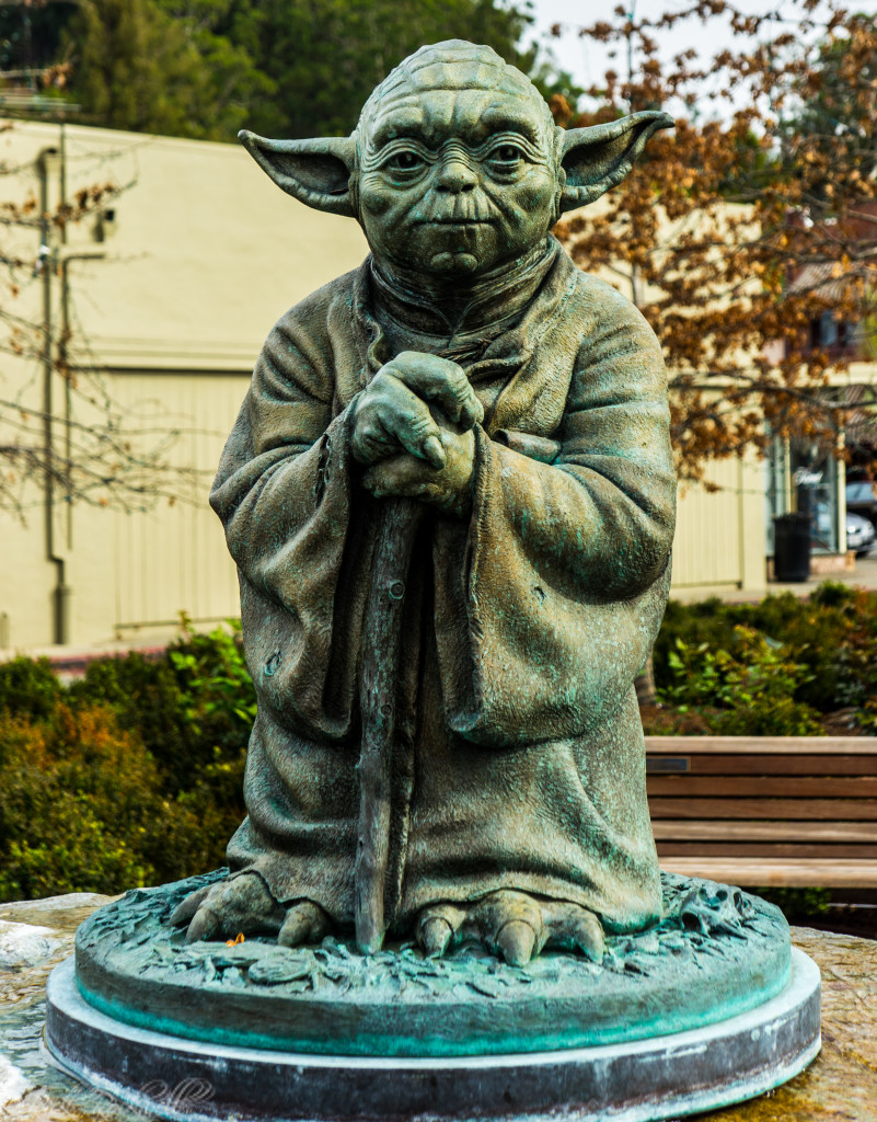 imagination park yoda 2 (1 of 1)