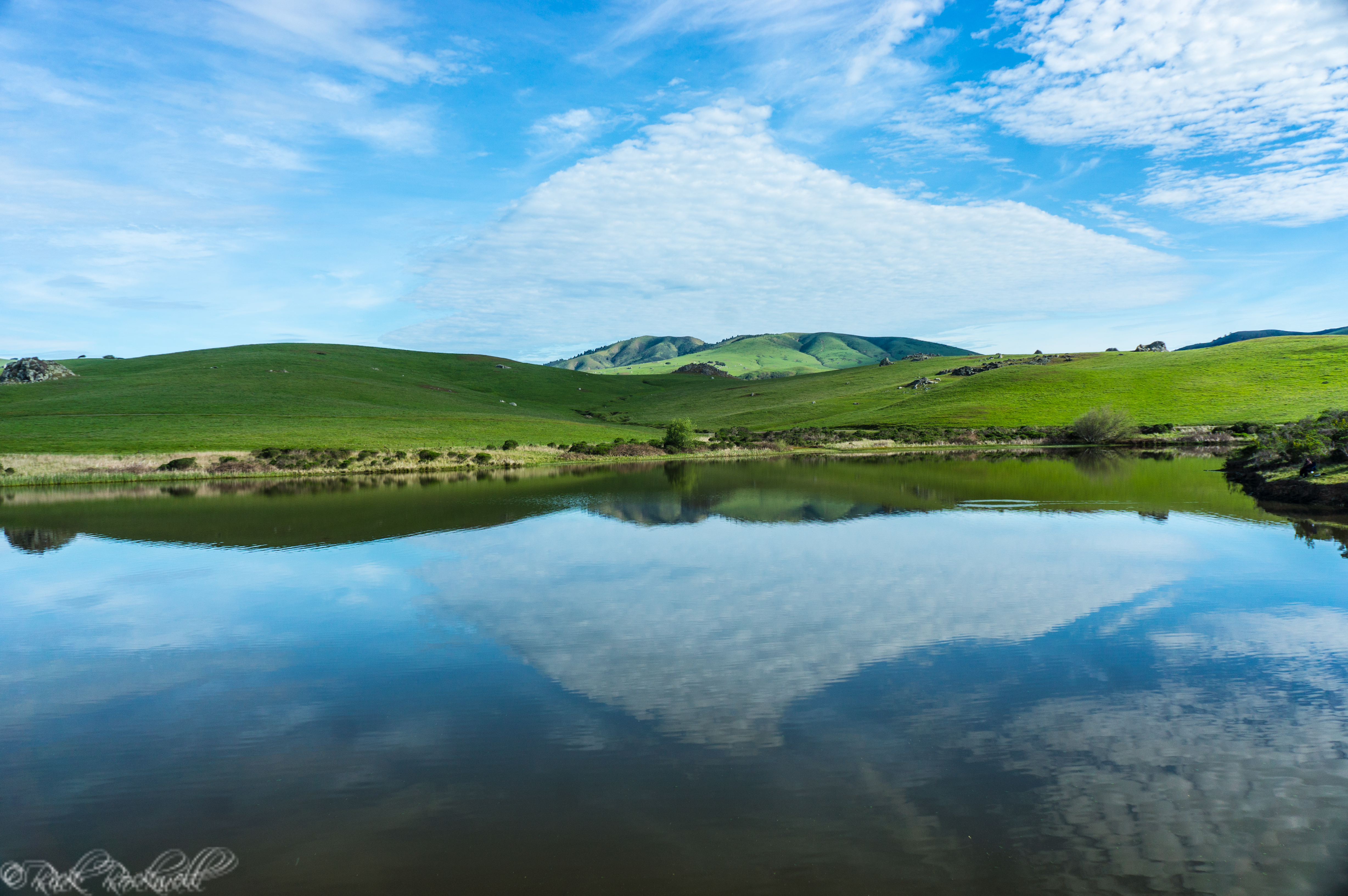Photo of Nicasio Reservoir: A springtime destination