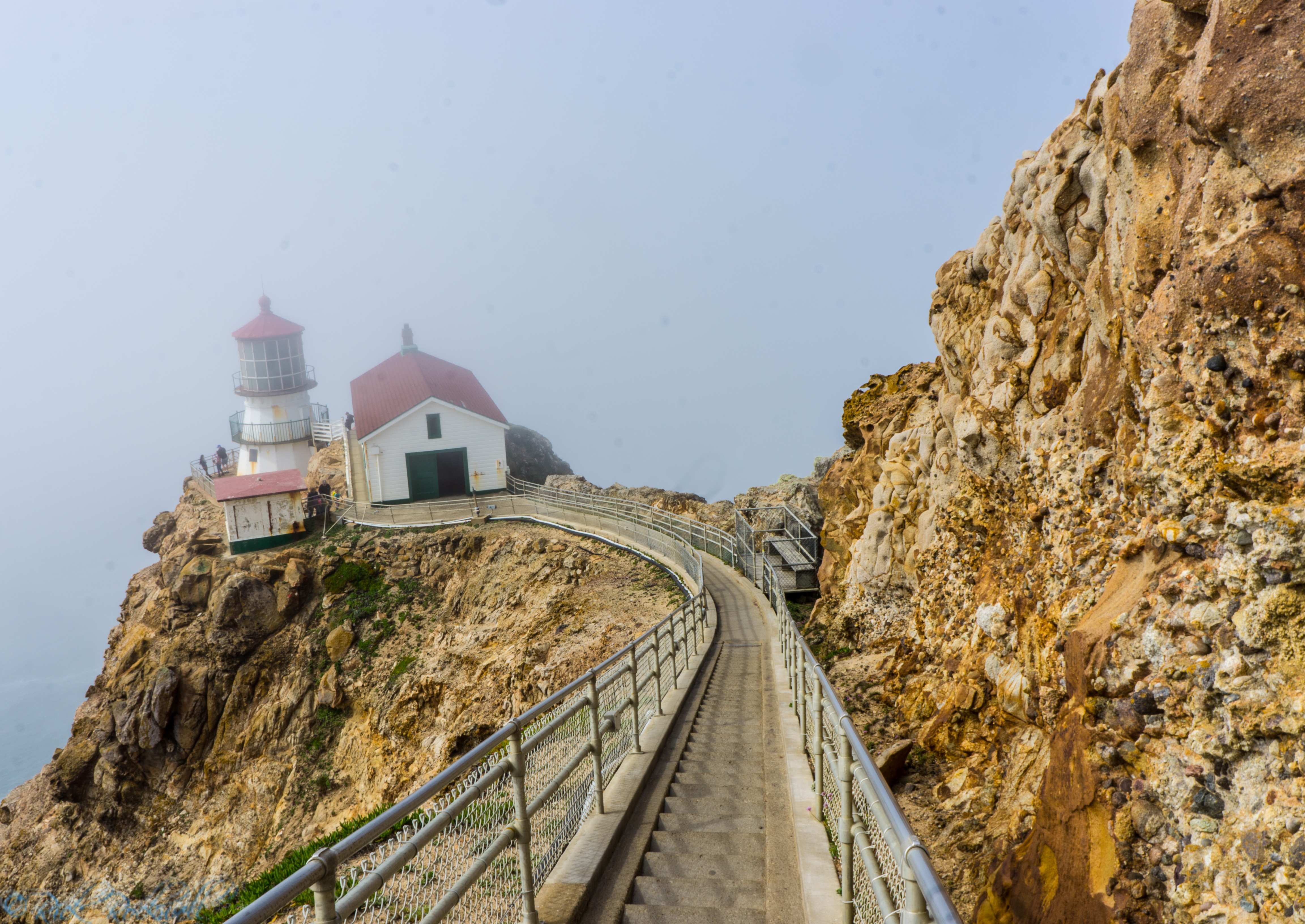 Photo of Point Reyes Lighthouse: 308 steps to the edge of a coastal abyss